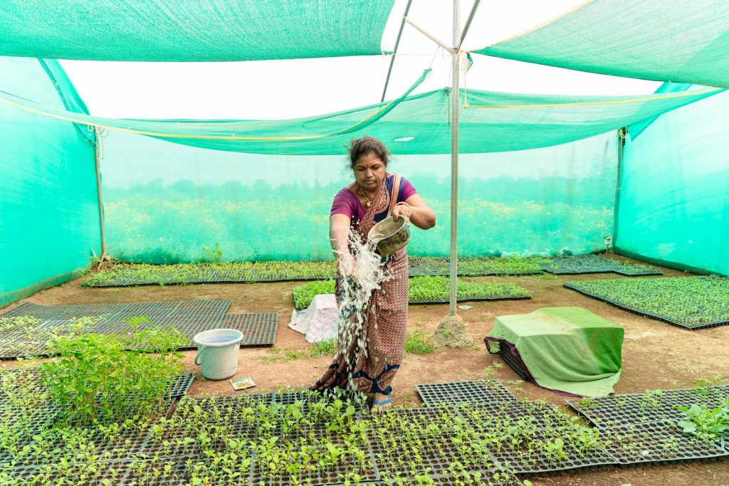 AI-driven tools boosting Indian farming