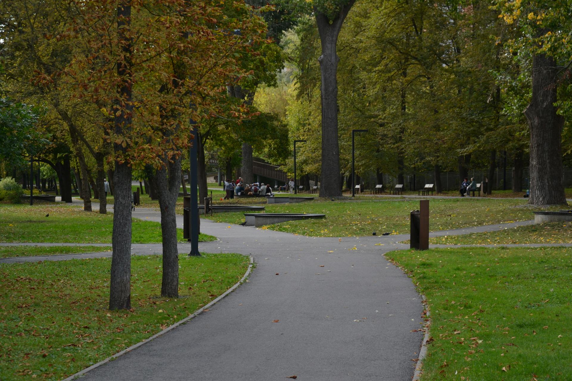 Antonomous Mower Debate in Park