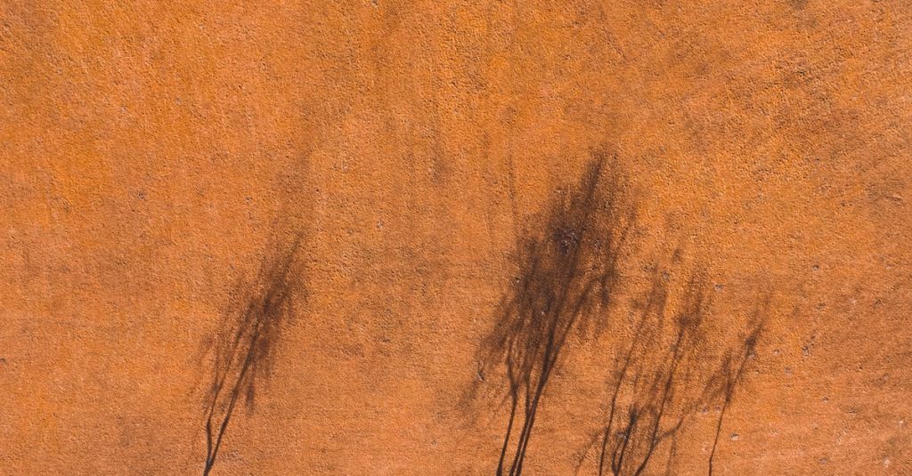 Florida Repurposed Drones