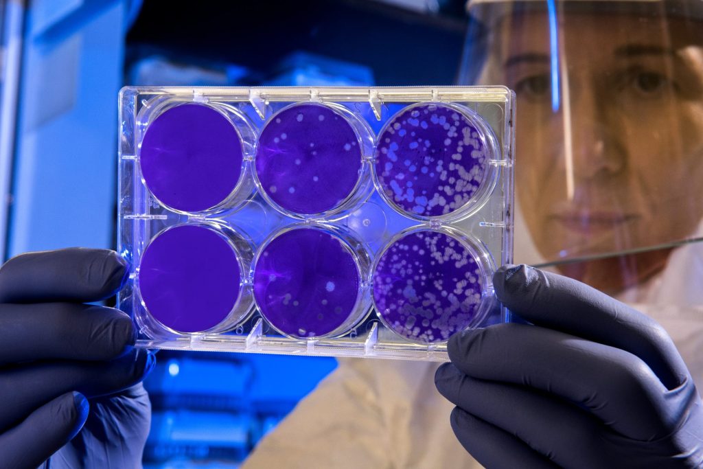 Scientists Fight Superbugs