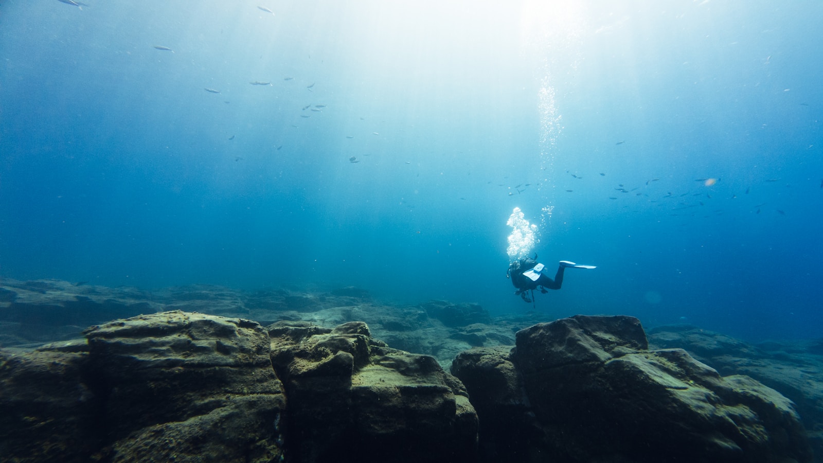 Ancient carbon dioxide burps depleted ocean oxygen