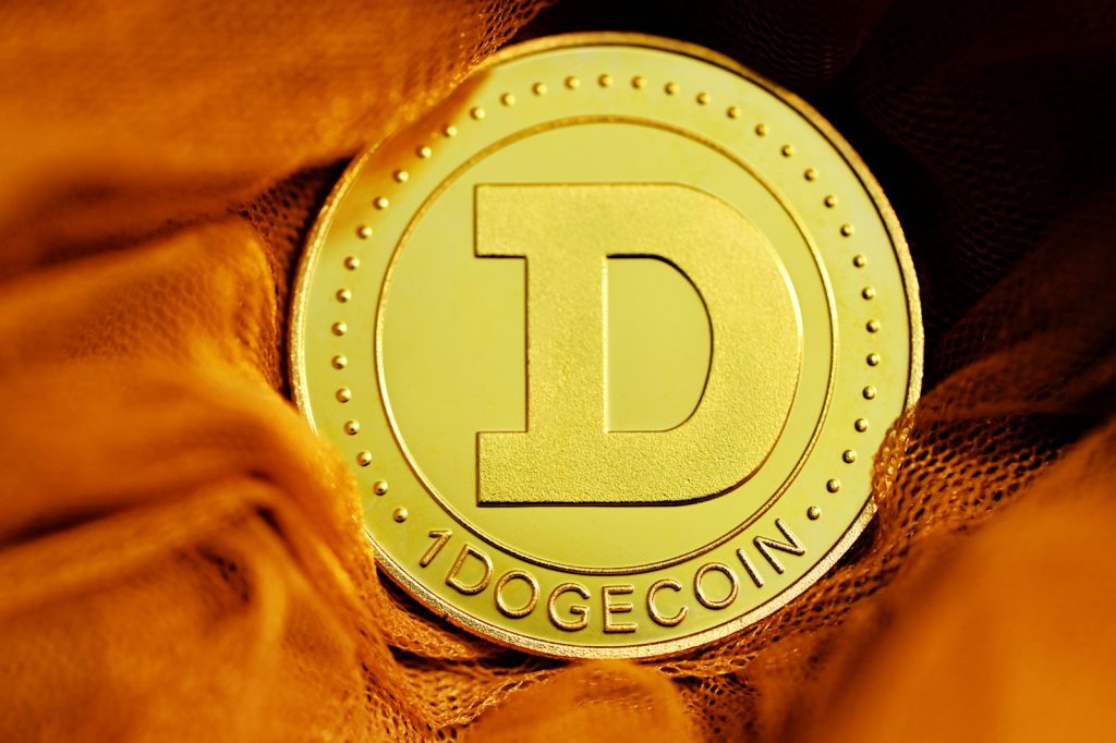 Dogecoin Debate