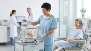gene edited pig kidneys address donor shortage