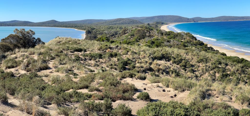 How to Identify the Real Bottleneck in a Scaling Architecture