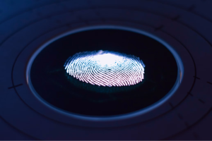 identity verification software