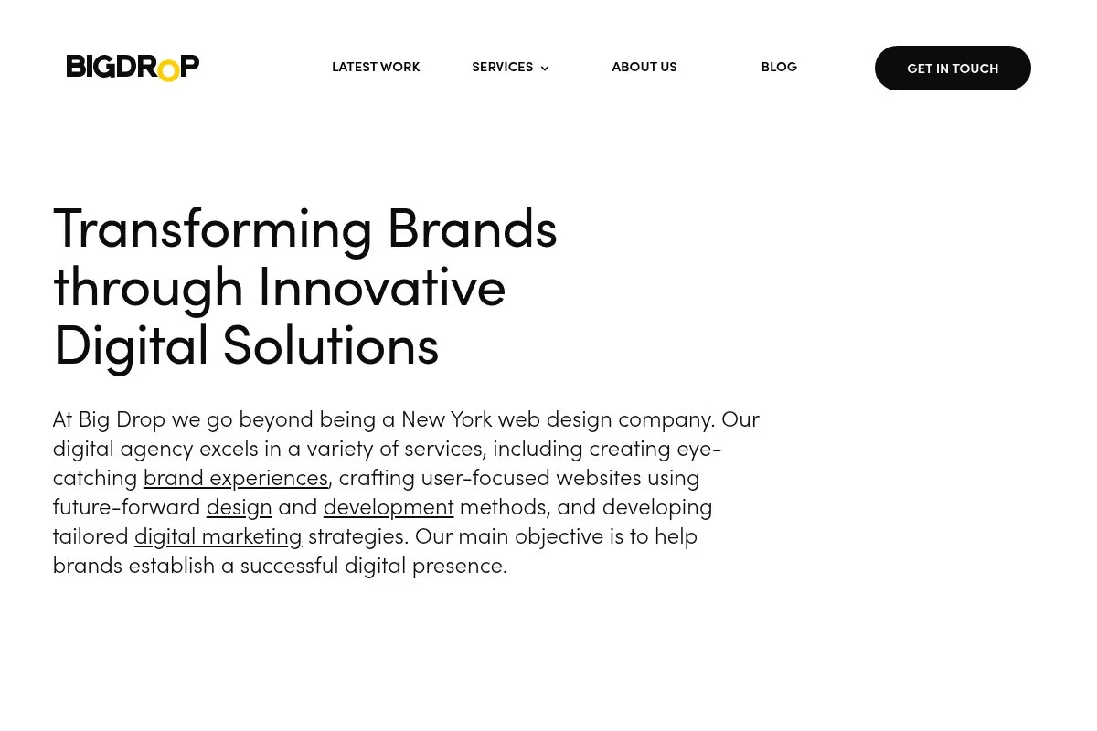 Screenshot of Big Drop Inc homepage