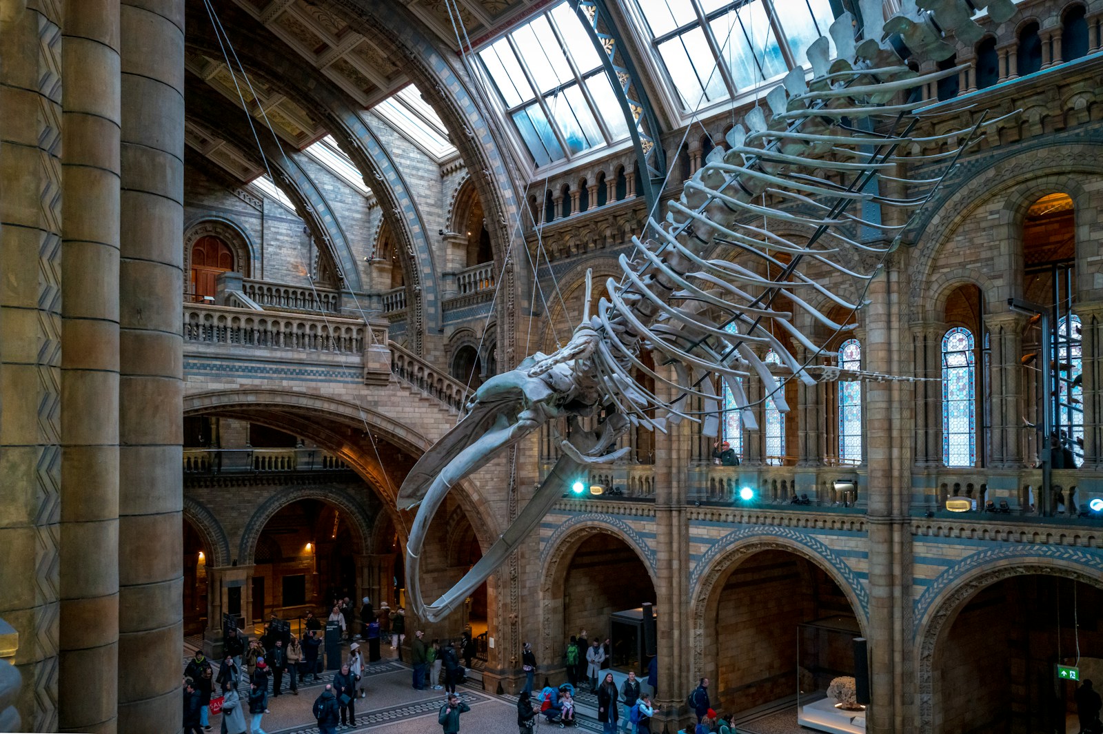 London's Natural History Museum unveils new dinosaur