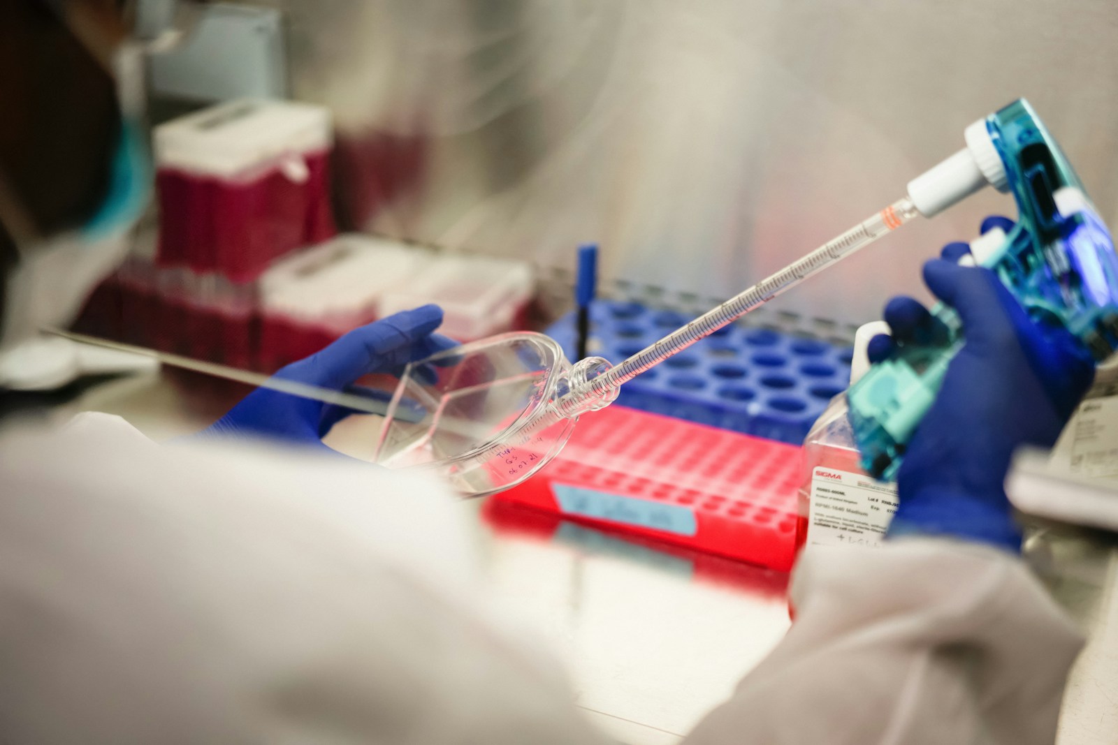 MIT Team Develops AI System to Track Cell Behavior in Tissues