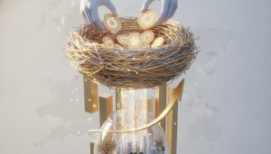 nest increases venture capital funding