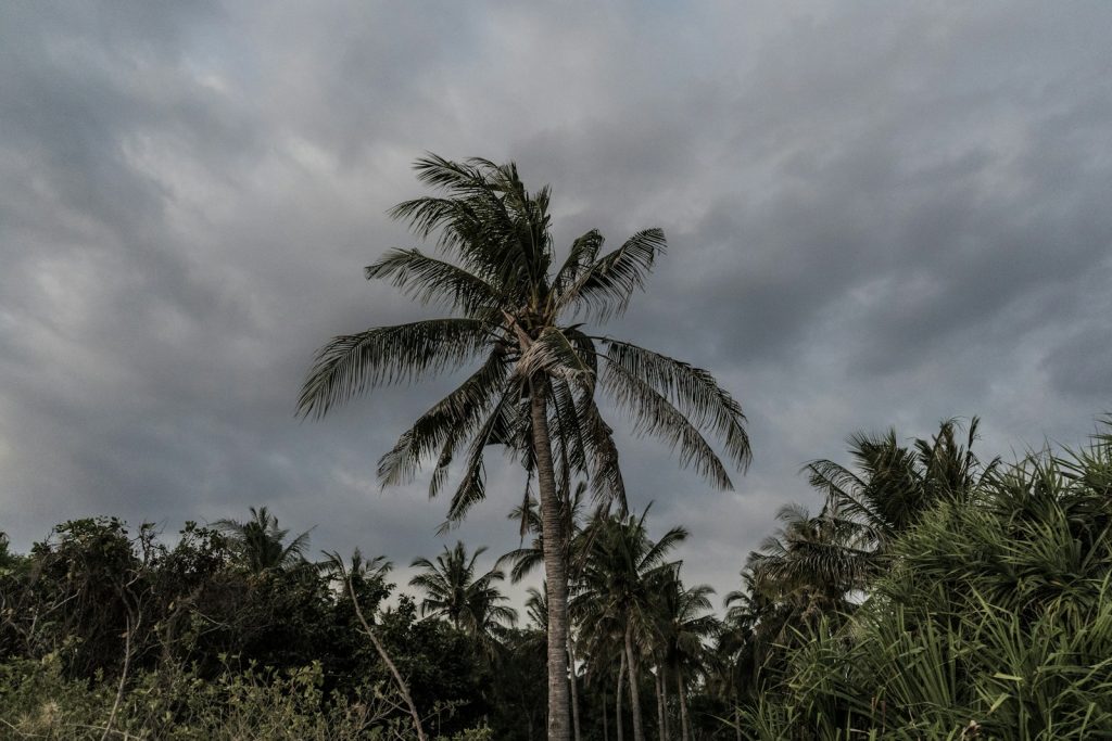 Nhc watches Tropical Storm Barry development