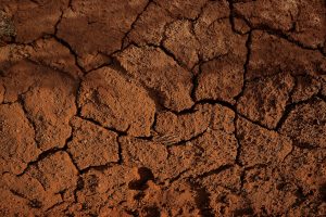 Why Architectures Fail in Practice